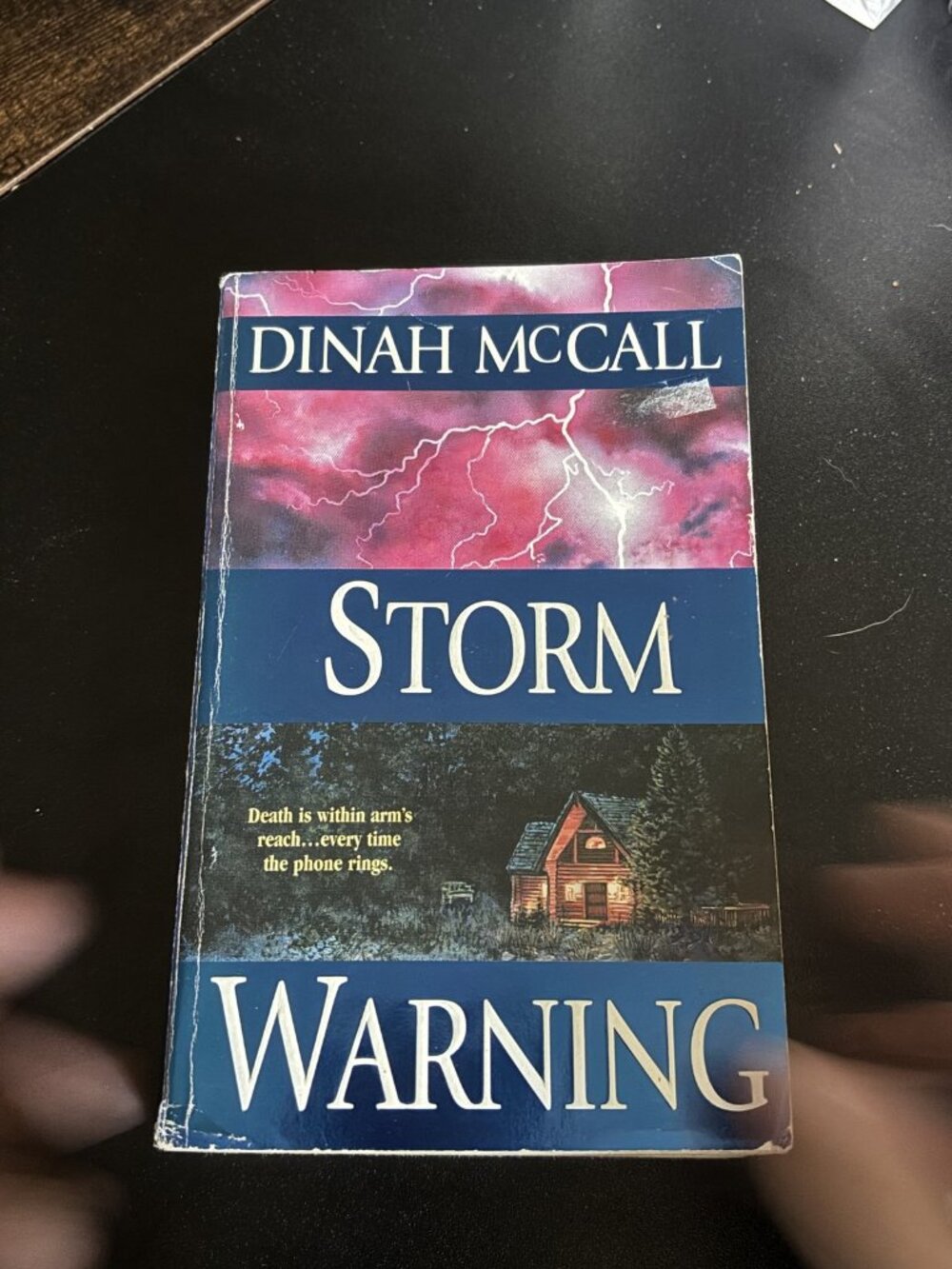Storm Warning by Dinah Mccall
